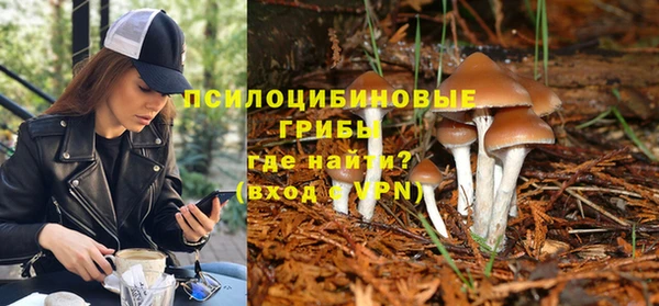 jwh Каменка