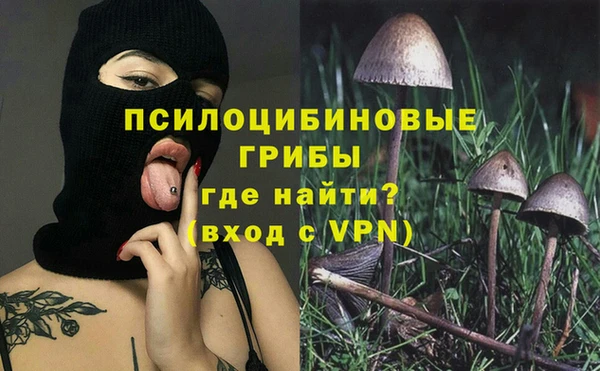jwh Каменка