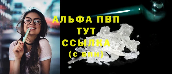 прущие грибы Каменск-Шахтинский