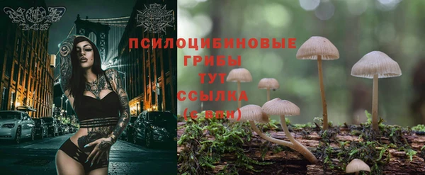 первитин Зерноград