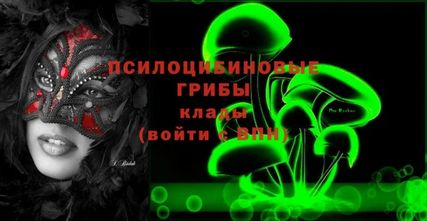 мескалин Инта